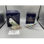 Boxed Royal Crown Darby - Sky Blue Budgerigar, and