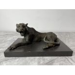 Bronze - Wild Animal - Leopard, on marble base. Ta