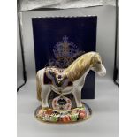 Boxed Royal Crown Derby - Miniature Shetland Pony,