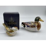 Boxed Royal Crown Derby - Firecrest, and Royal Cro