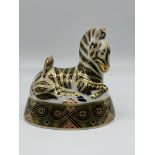 Royal Crown Derby - Zebra. Good condition, no chi