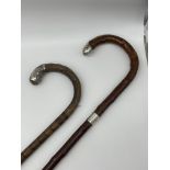 Two HM Silver Topped Antique Canes.