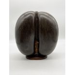 Polished Coco De Mer Nut on Wooden Plinth