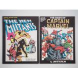 MARVEL GRAPHIC NOVEL LOT (2 in Lot) - Includes #1 THE DEATH OF CAPTAIN MARVEL by Jim Starlin (