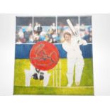 Lord Ian Botham signed canvas with artwork added by Beth Wood - A legend in front of the sticks. Put