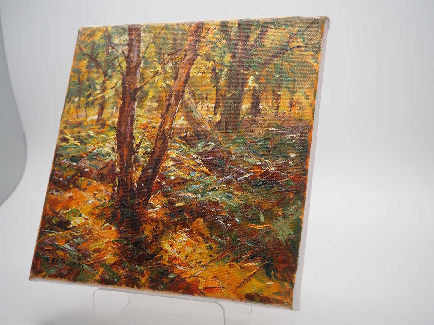 Barry Peckham 'FOREST' - oil on canvas - signed - 8" x 8" - PROVENANCE: Donated to and sold on - Image 2 of 3