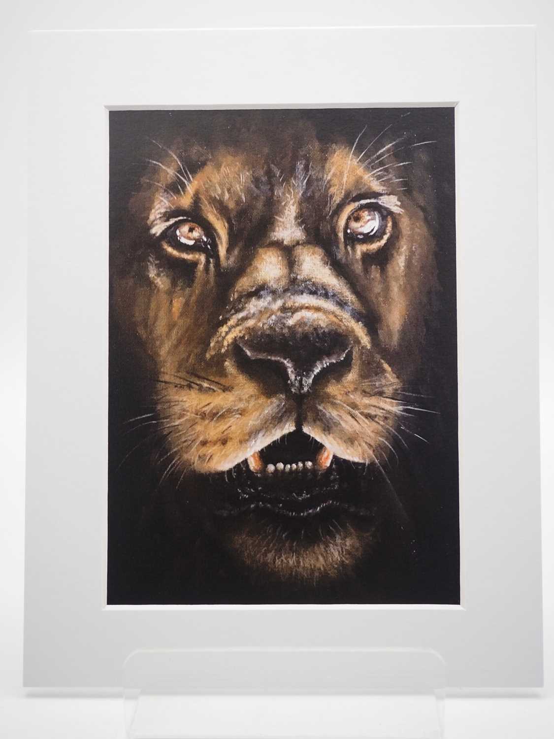 Suzanne Phillips 'LION' - print - 5" x 7" in a 7" x 9" mount PROVENANCE: Donated to and sold on