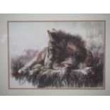 Elaine C Geall 'NEW FOREST FOAL' - graphite and coloured pencil on canson bristol board - signed -