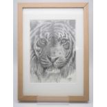 Jonathan Truss - 'TIGER' - Original pencil Sketch - signed - 6" x 8" in a 9" x 13" frame -