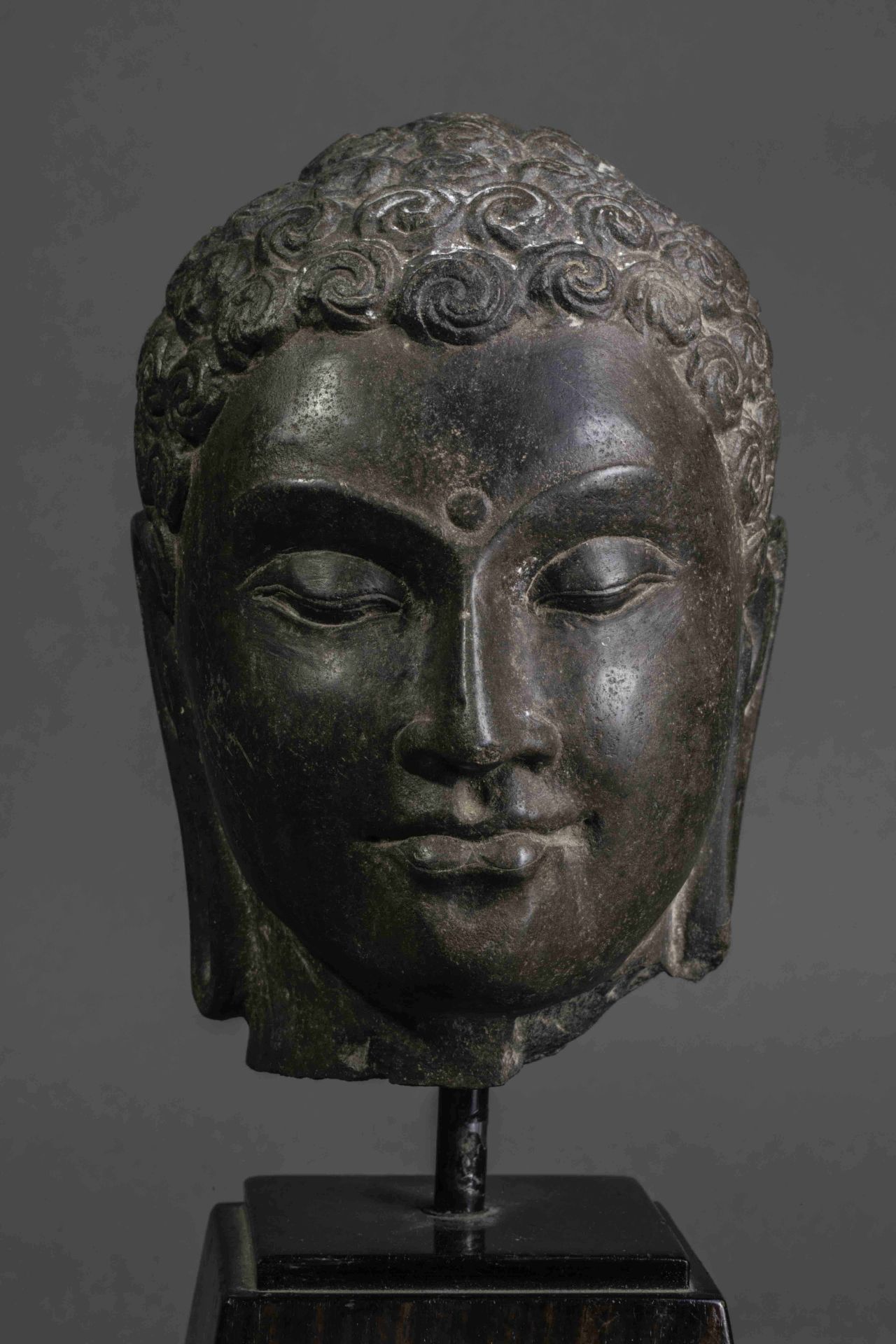 Tête de Buddha à la beauté juvénile, l’expression sereine,les yeux mi-clos préconisant le regard à - Bild 2 aus 7