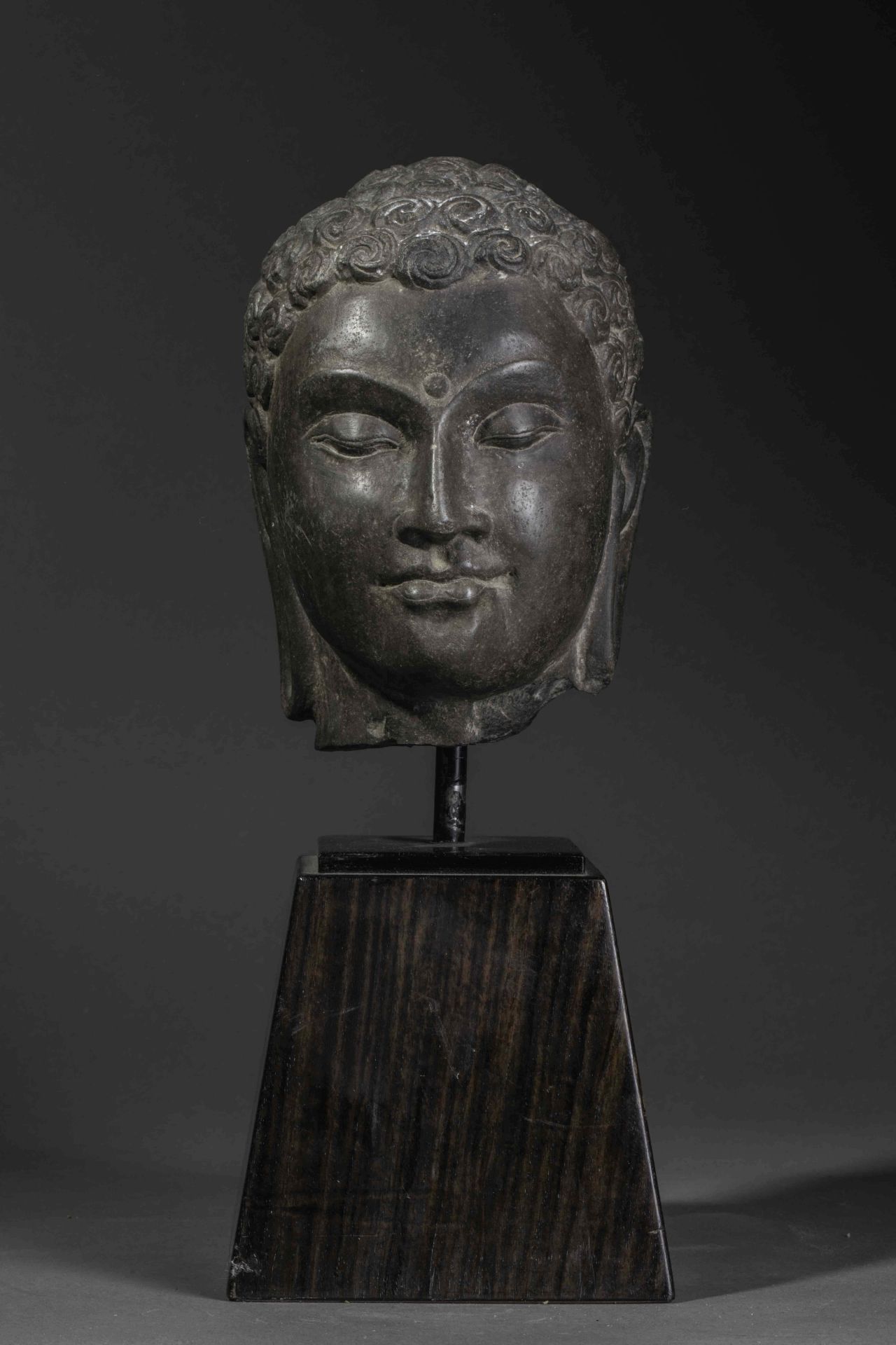 Tête de Buddha à la beauté juvénile, l’expression sereine,les yeux mi-clos préconisant le regard à