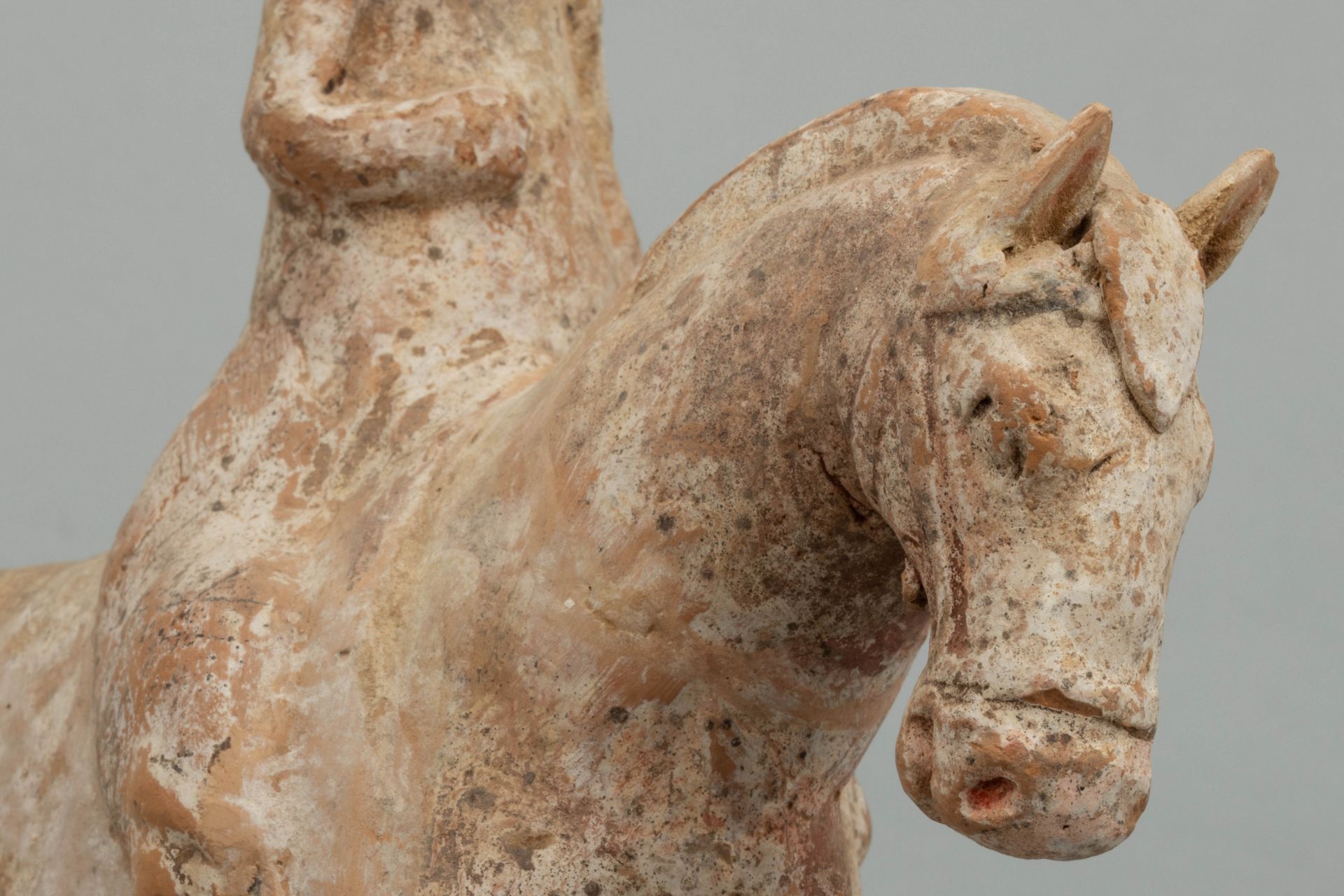 Cavalière Dame de Cour chevauchant sa monture à l’arrêt les quatre jambes sur une terrasse - Bild 6 aus 8