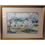 Ruth-Ann Titley N.D.D - Almond Blossom-Mallorca -Watercolour -Framed and mounted -frame size