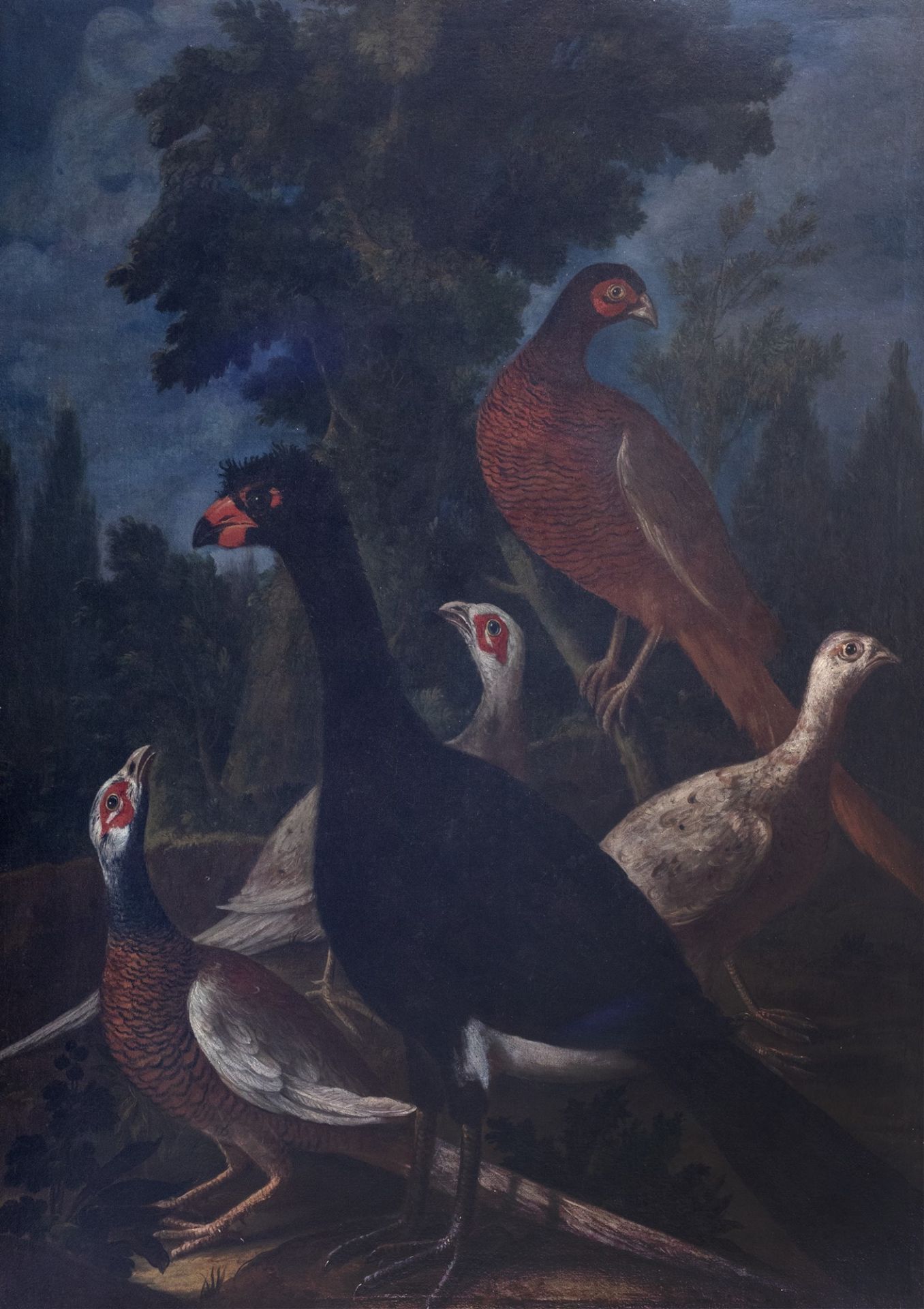 Scuola dell'Italia settentrionale, secolo XVII - Woodland landscape with pheasants and partridges