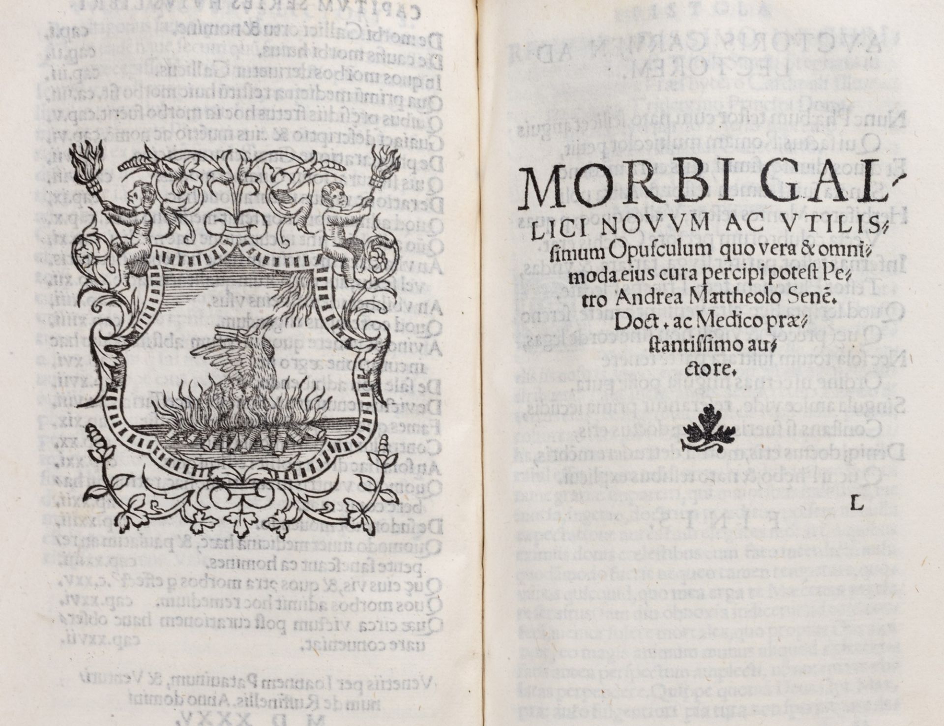 Medicina - Leoniceno Niccolò - Liber de morbo gallico in quo several famous in this matter scribente - Image 2 of 2