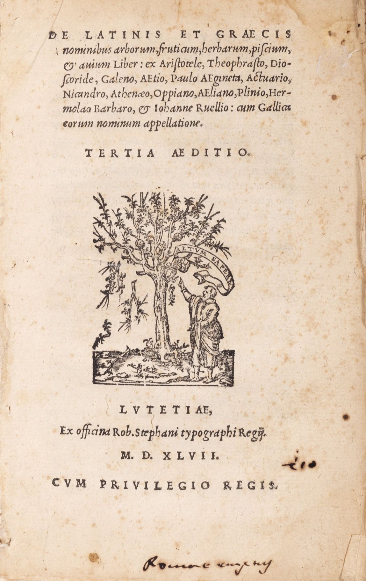 Botanica - Biologia - Estienne, Charles - De Latinis et Graecis nominibus arborum, fruticum, herbaru