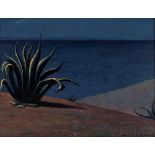 Walter Lazzaro (Roma 1914-Milano 1989) - Agave in Calabria, 50s