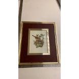 Framed watercolour of Bird nesting signed Mum 1953