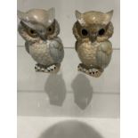 A Pair of Porcelain owls made in Spain