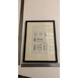 Pencil drawing of fossils signed C Marques