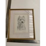 Framed pencil drawing of dog signed by joel kinht