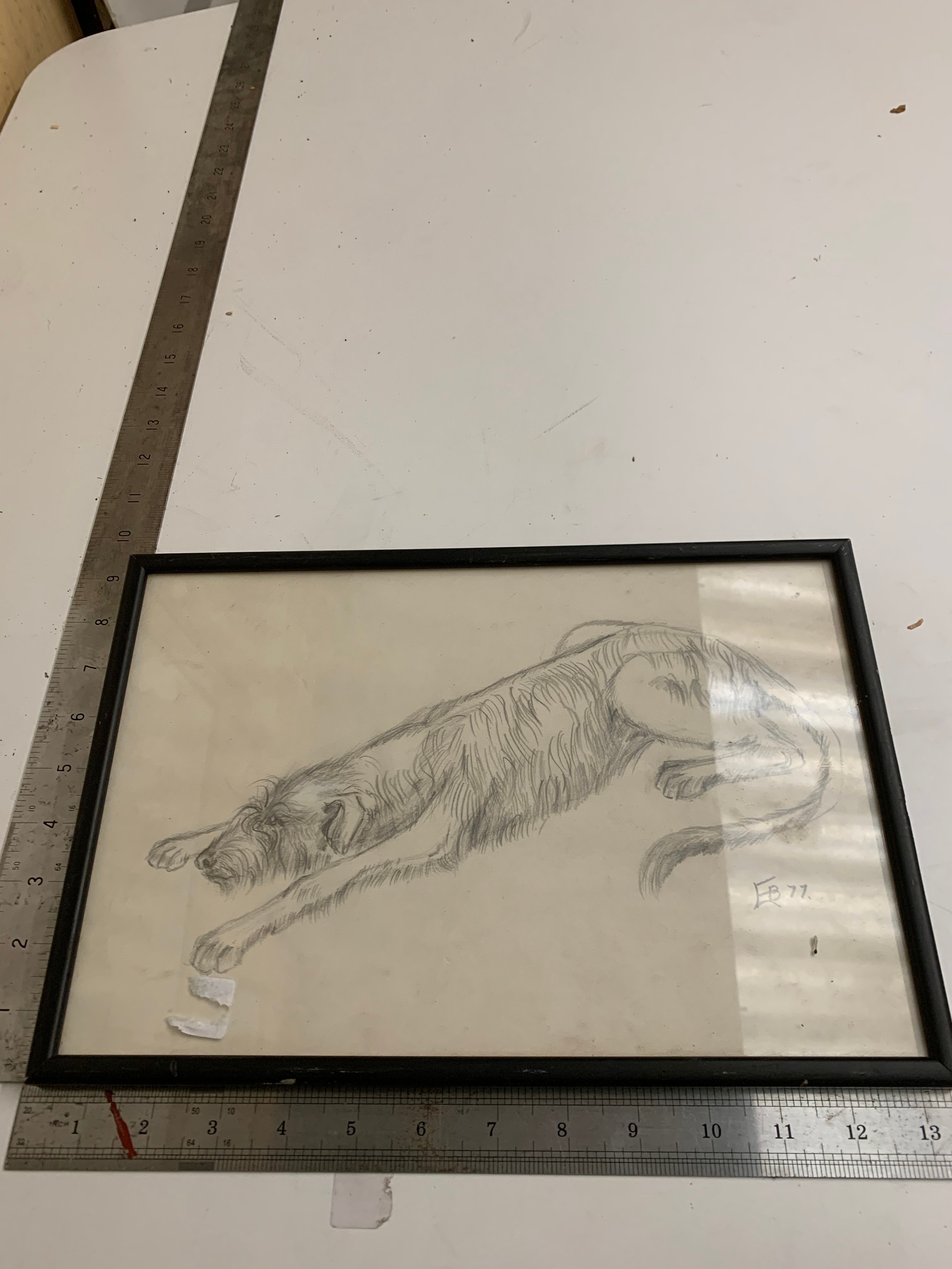 Pencil drawing of a dog Signed E.B 77