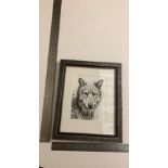Pencil drawing of a wolf - A G wyatt