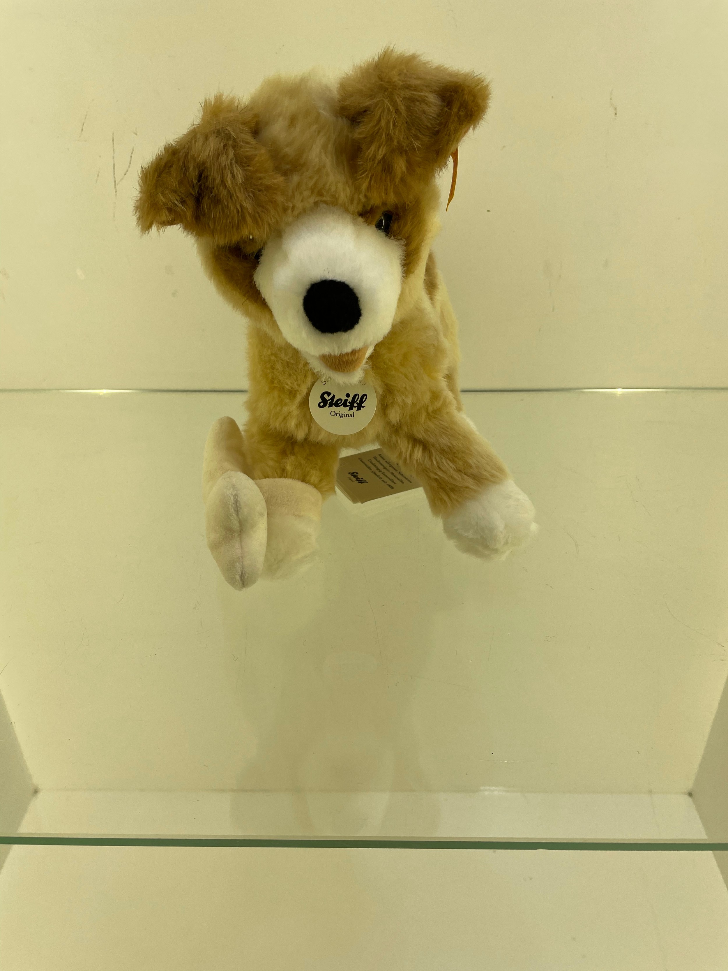 Steiff teddy (Dog )