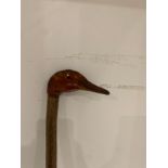 Hand carved Walking stick in the shape of a Duck with hand painted head