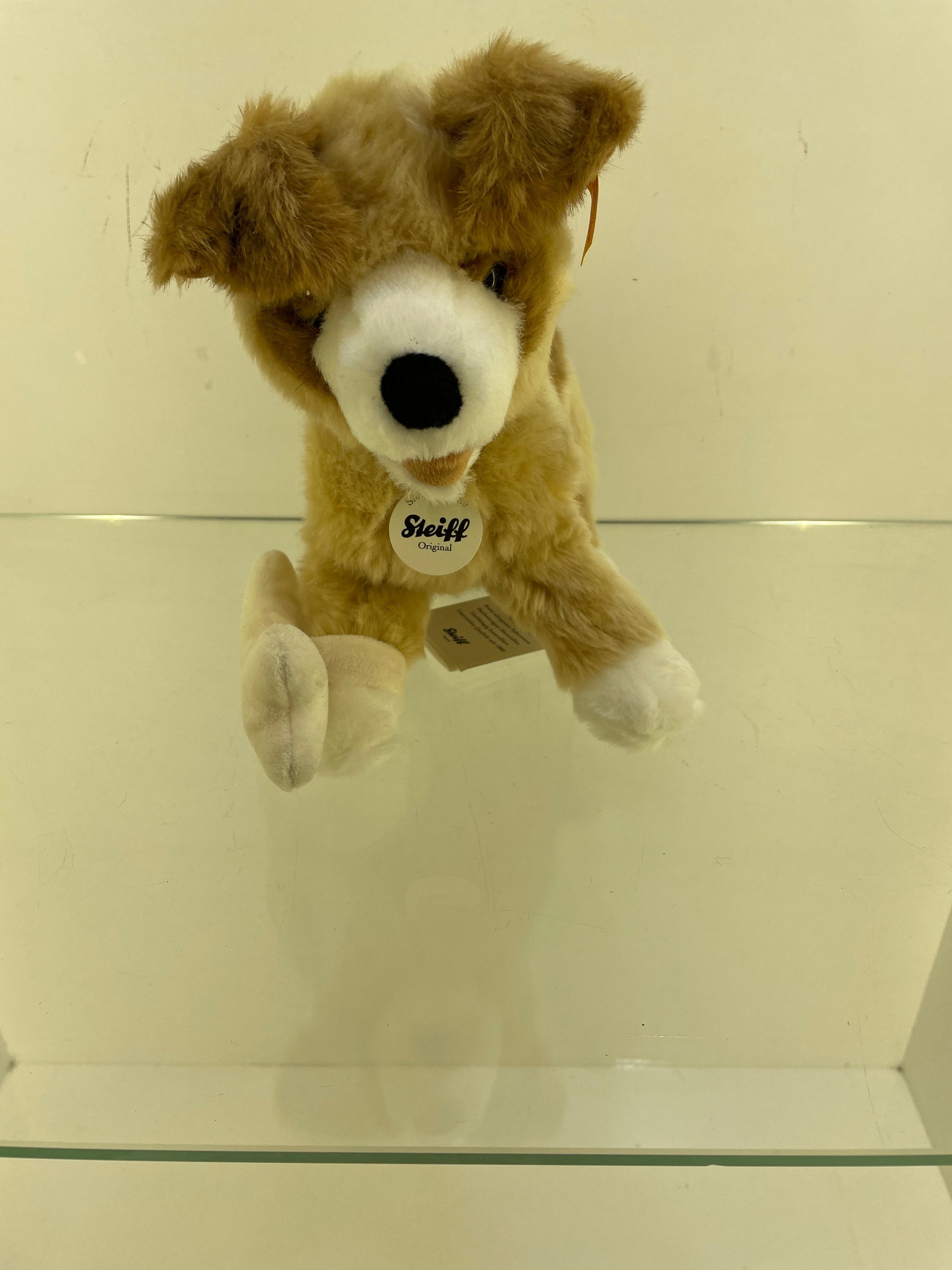 Steiff teddy (Dog ) - Image 2 of 3