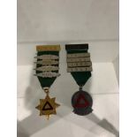 Two Raf Driving service medals