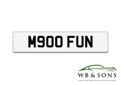 Registration Plate -M900FUN