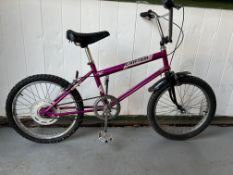 Raleigh Grifter