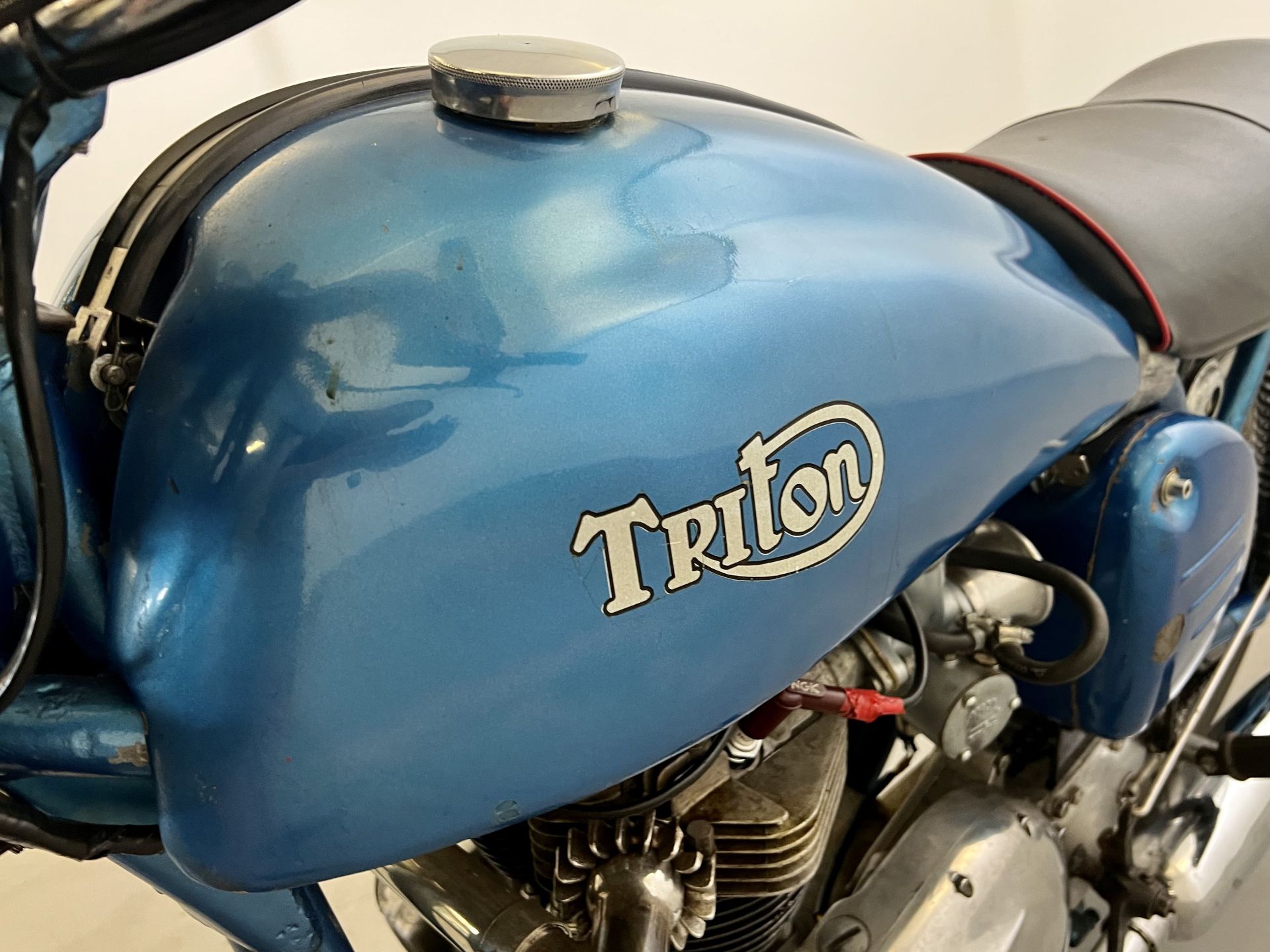 Triton - Image 11 of 13