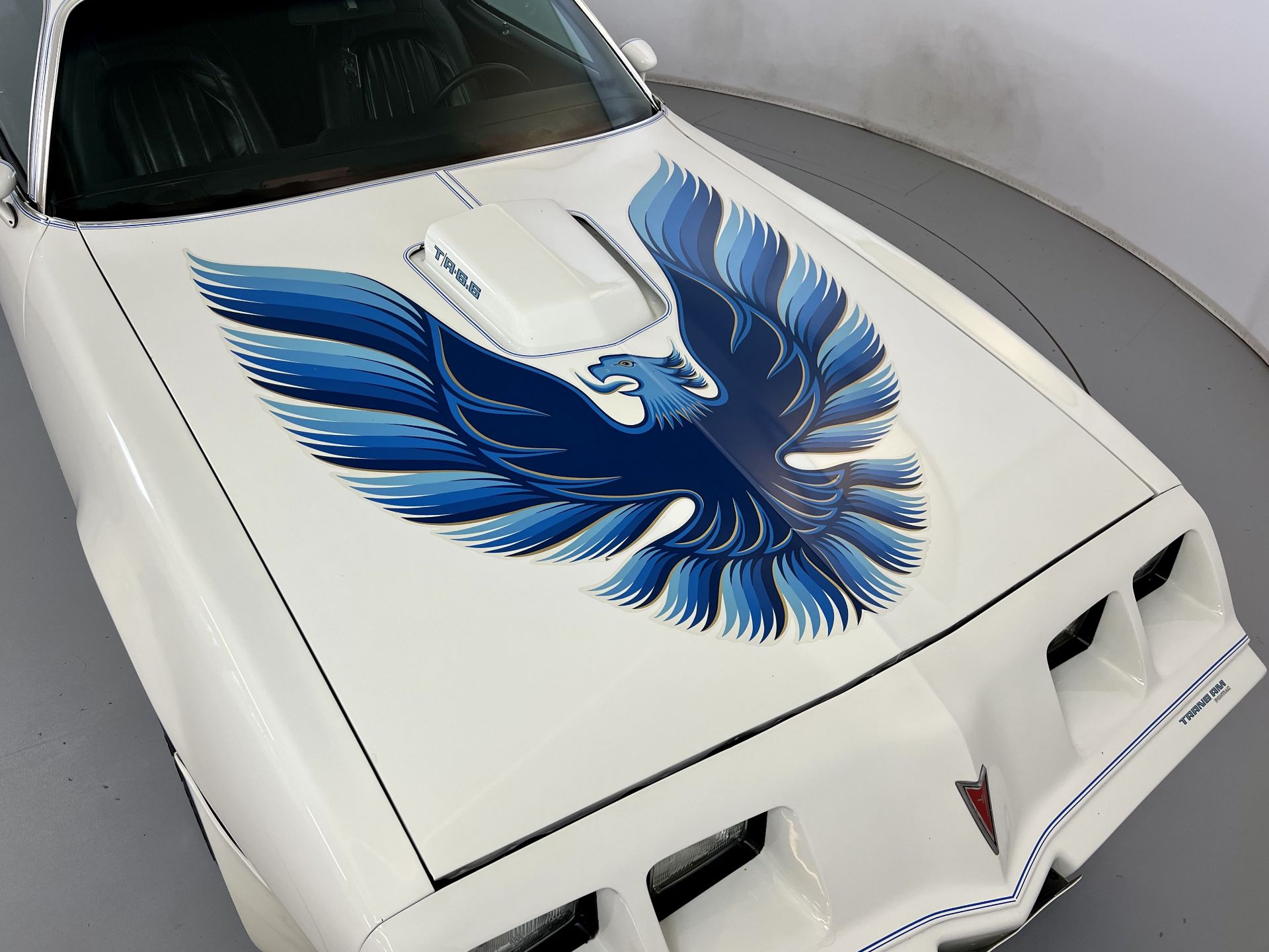 Pontiac Firebird - Trans Am Tribute - Image 13 of 31