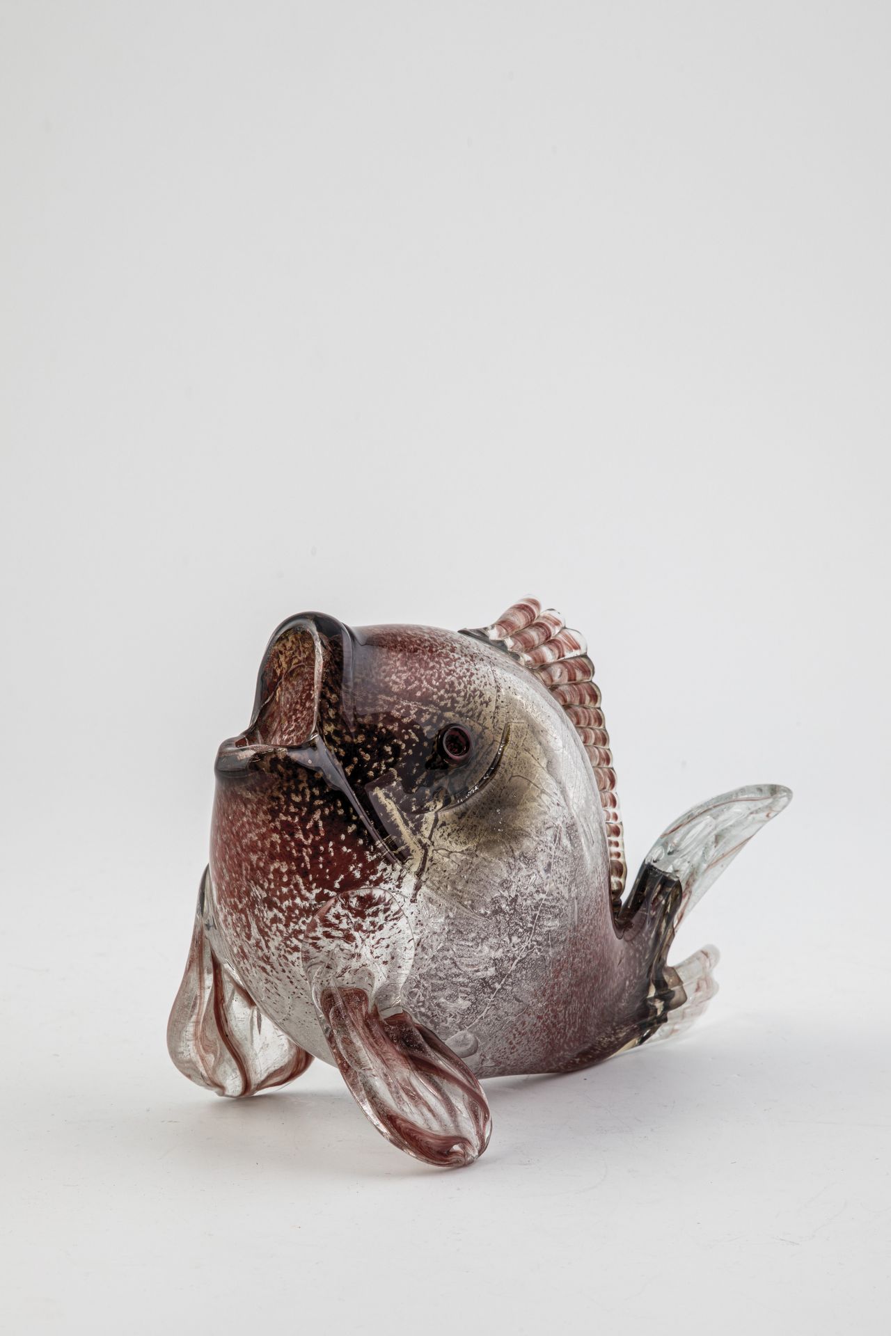 Ornamental fish ''Ikora crystal''