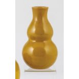 Kuerbis-Flaschen-Vase