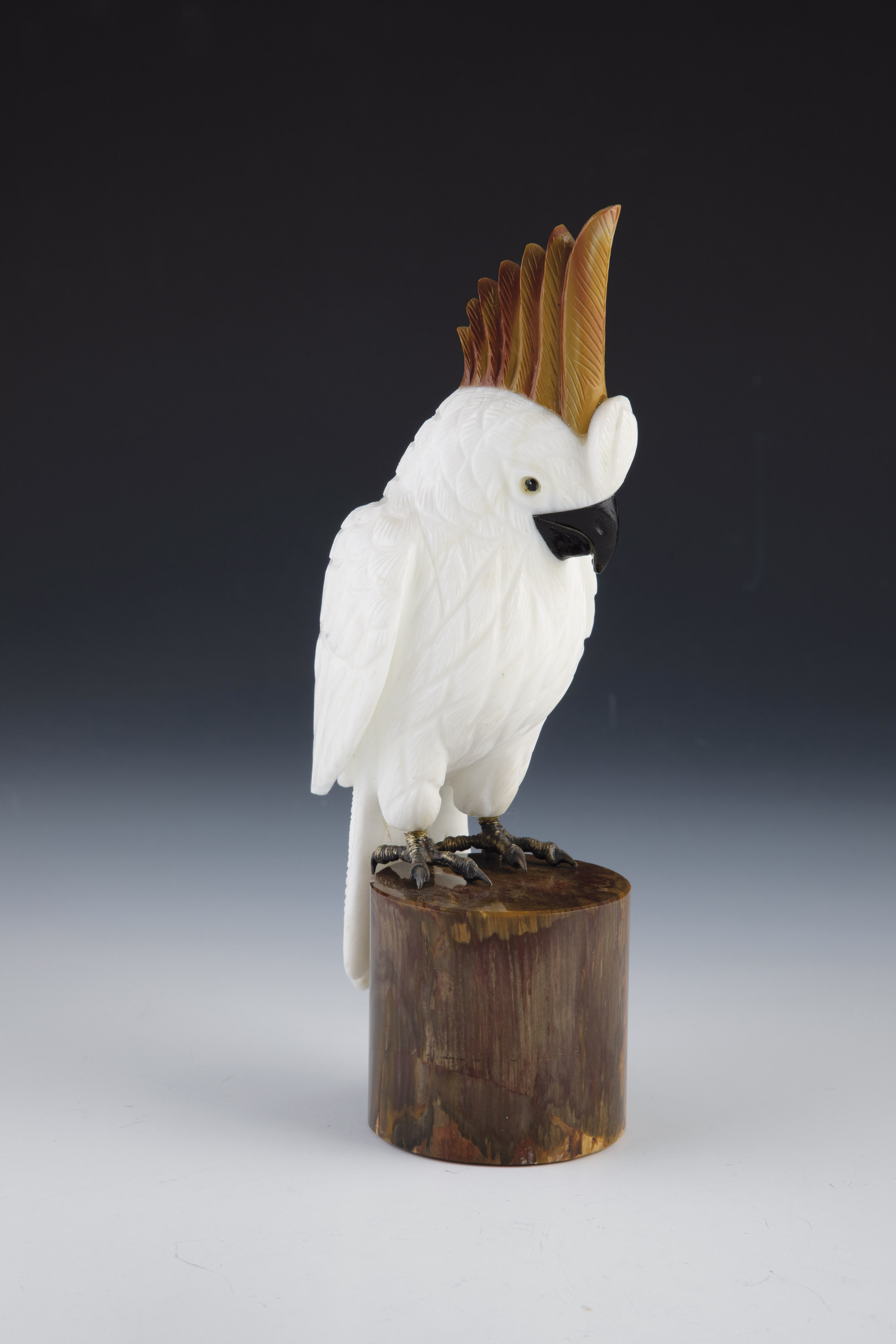 Dolomite cockatoo on petrified wood base