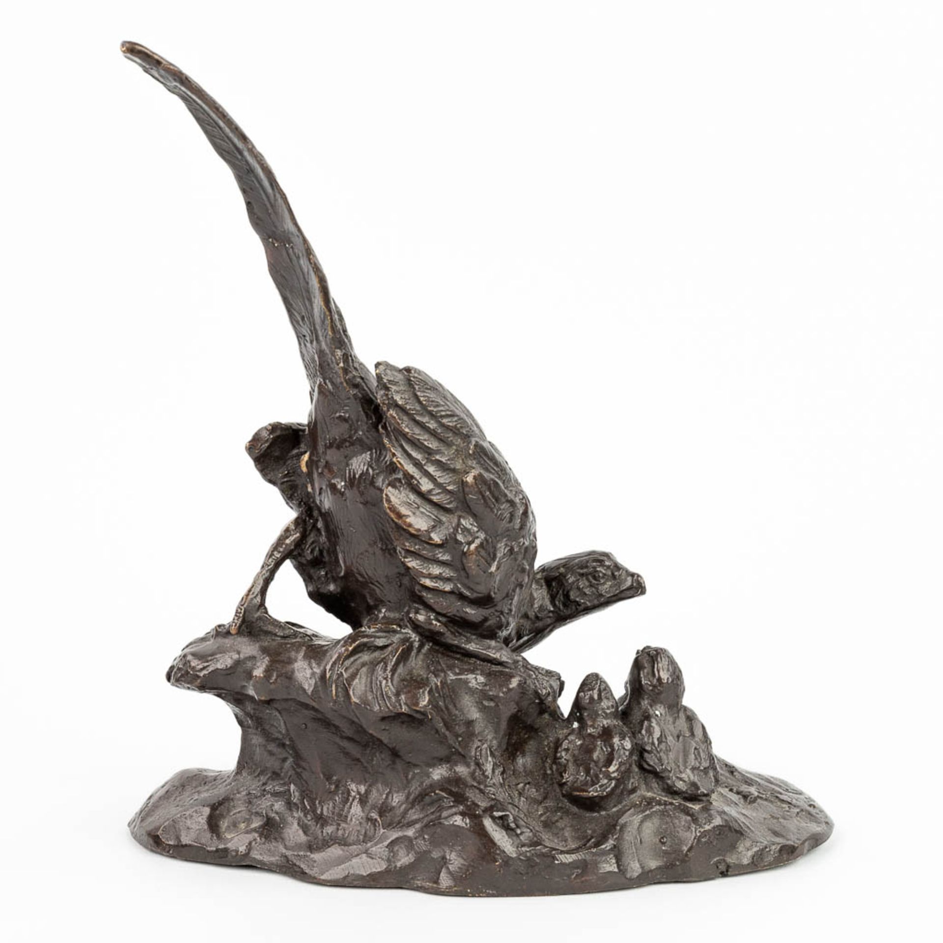 A bronze figurine of a pheasant with youngs, made of bronze. (H:22,5cm)