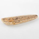 An antique fossil of a fish. (H:10cm)