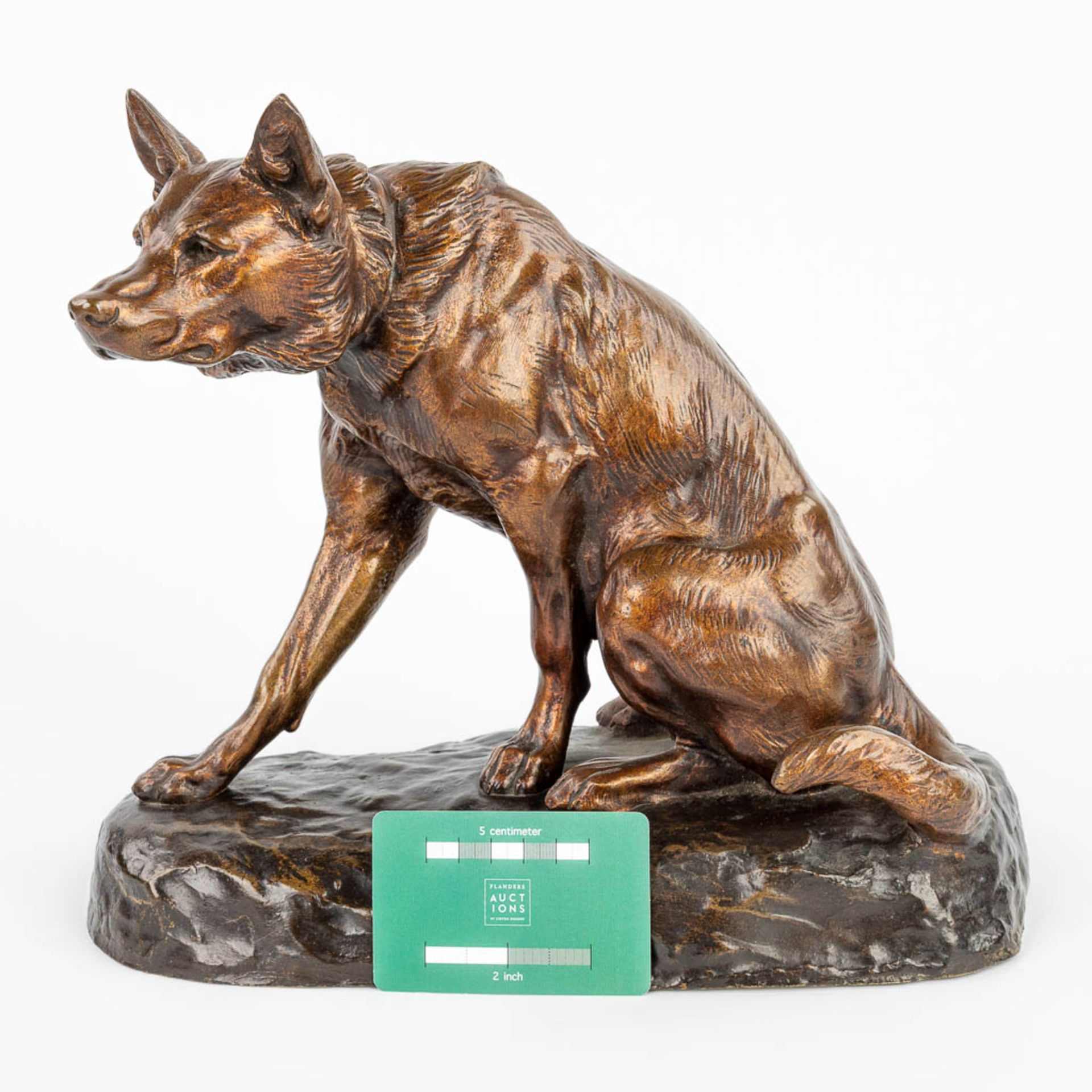 Louis RICHƒ (1877-1949) German Shephard, a bronze statue of a seated dog with a foundry mark. (H:27c - Image 11 of 11