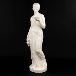 A classical statue of a Greek lady with a jug and bowl, made of sculptured Carrara marble. (H:74cm)