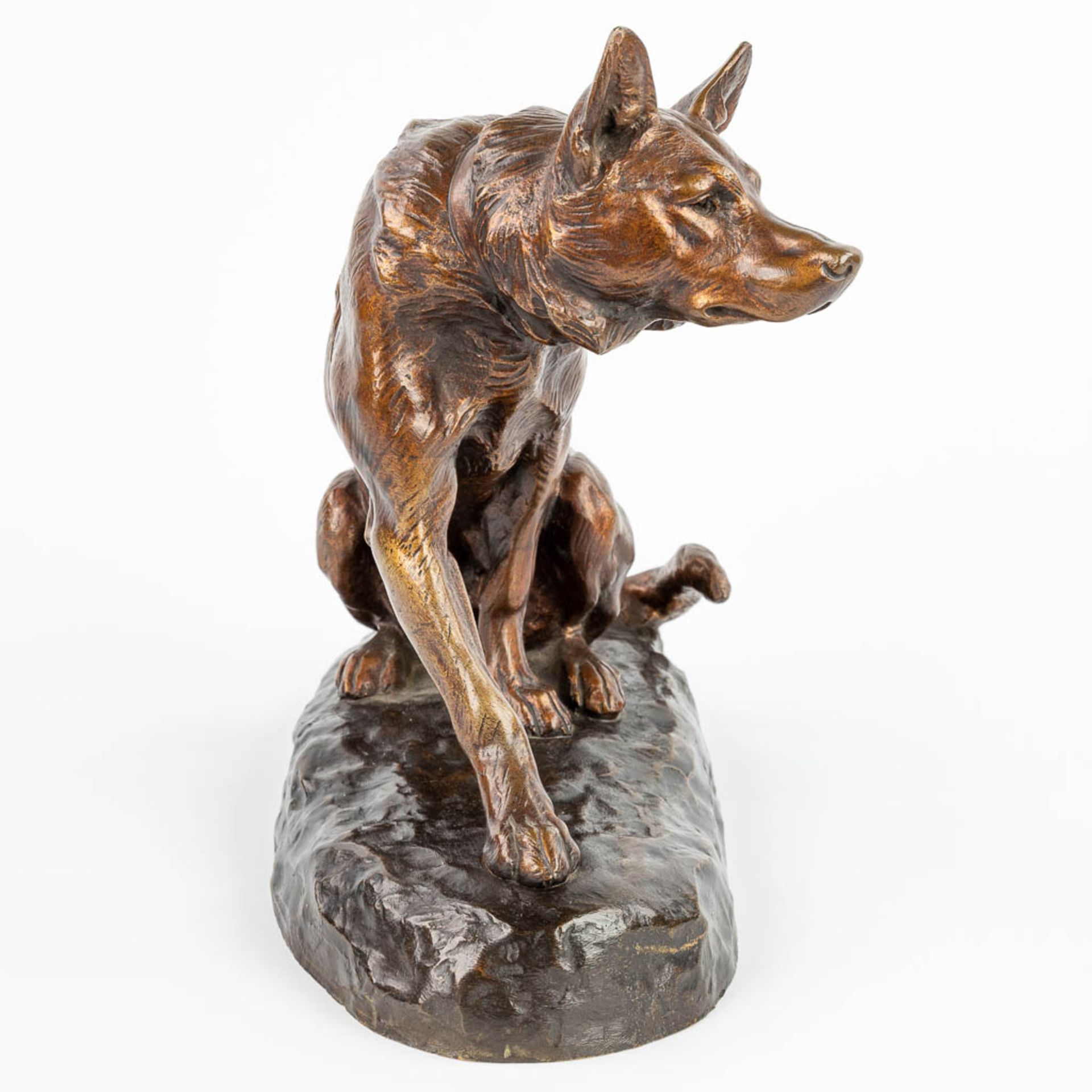 Louis RICHƒ (1877-1949) German Shephard, a bronze statue of a seated dog with a foundry mark. (H:27c - Image 2 of 11