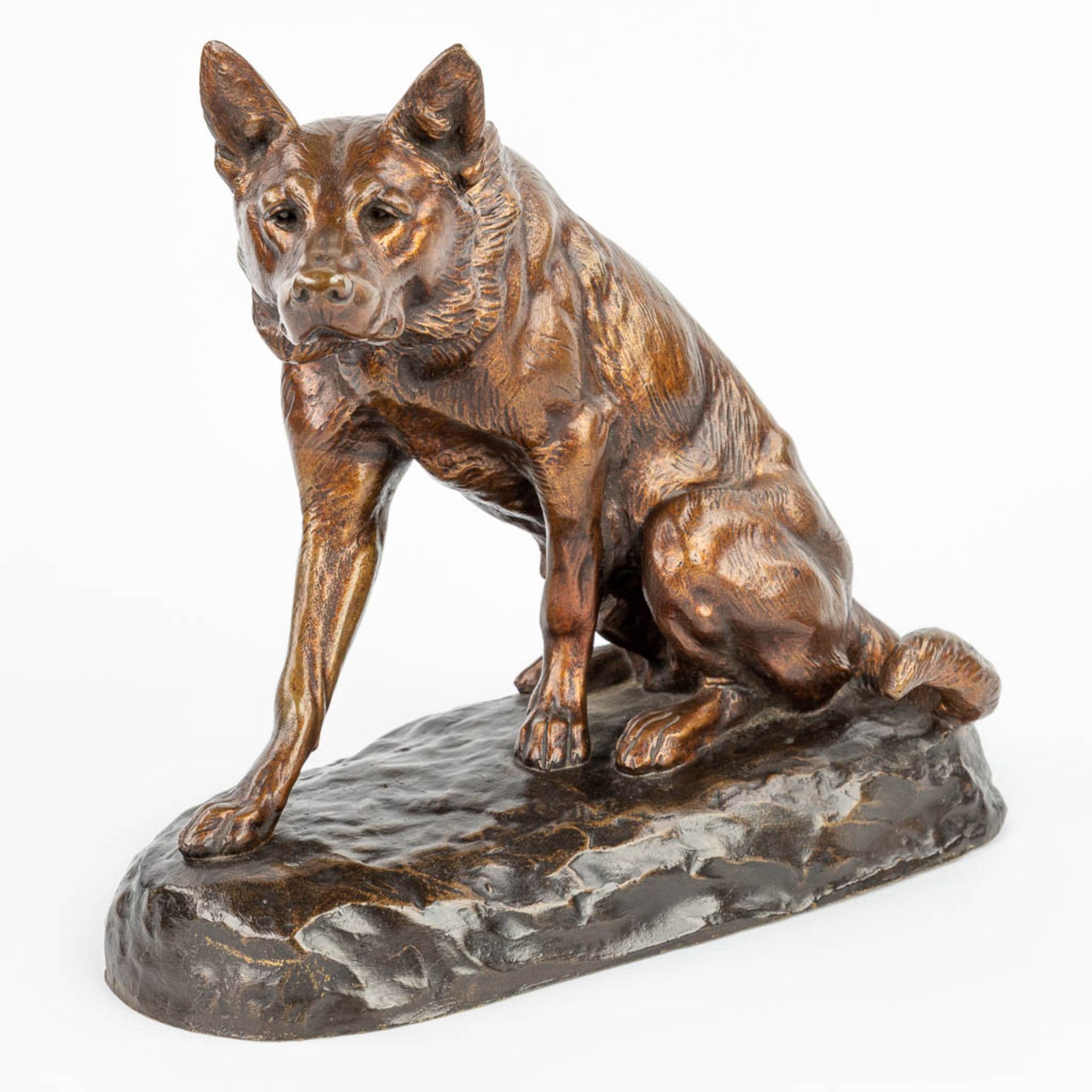 Louis RICHƒ (1877-1949) German Shephard, a bronze statue of a seated dog with a foundry mark. (H:27c - Image 6 of 11