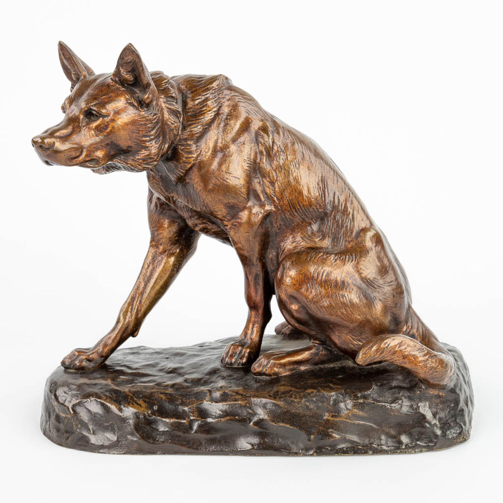 Louis RICHƒ (1877-1949) German Shephard, a bronze statue of a seated dog with a foundry mark. (H:27c
