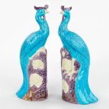 A pair of Chinese Phoenix made of glazed stoneware. 20th century. (H:30cm)