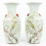 A pair of Chinese vases made of porcelain and decorated with fauna and flora. 19th/20th century. (H: