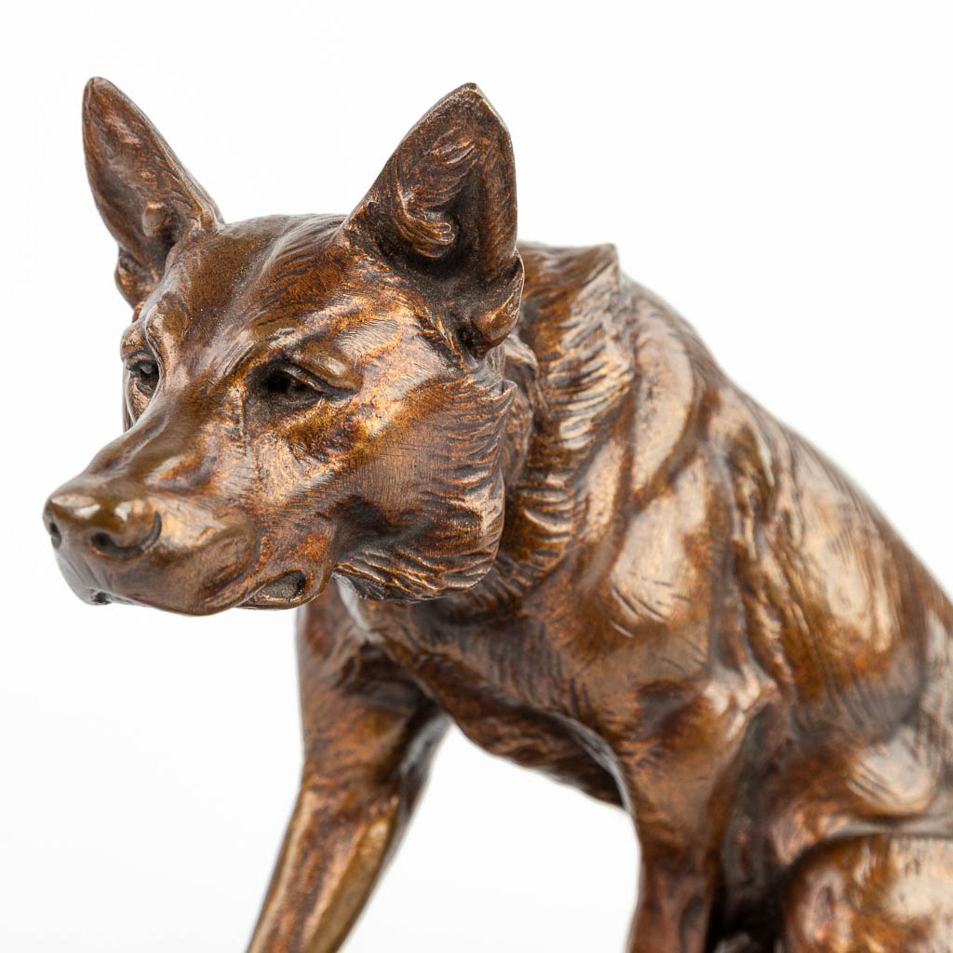 Louis RICHƒ (1877-1949) German Shephard, a bronze statue of a seated dog with a foundry mark. (H:27c - Image 5 of 11