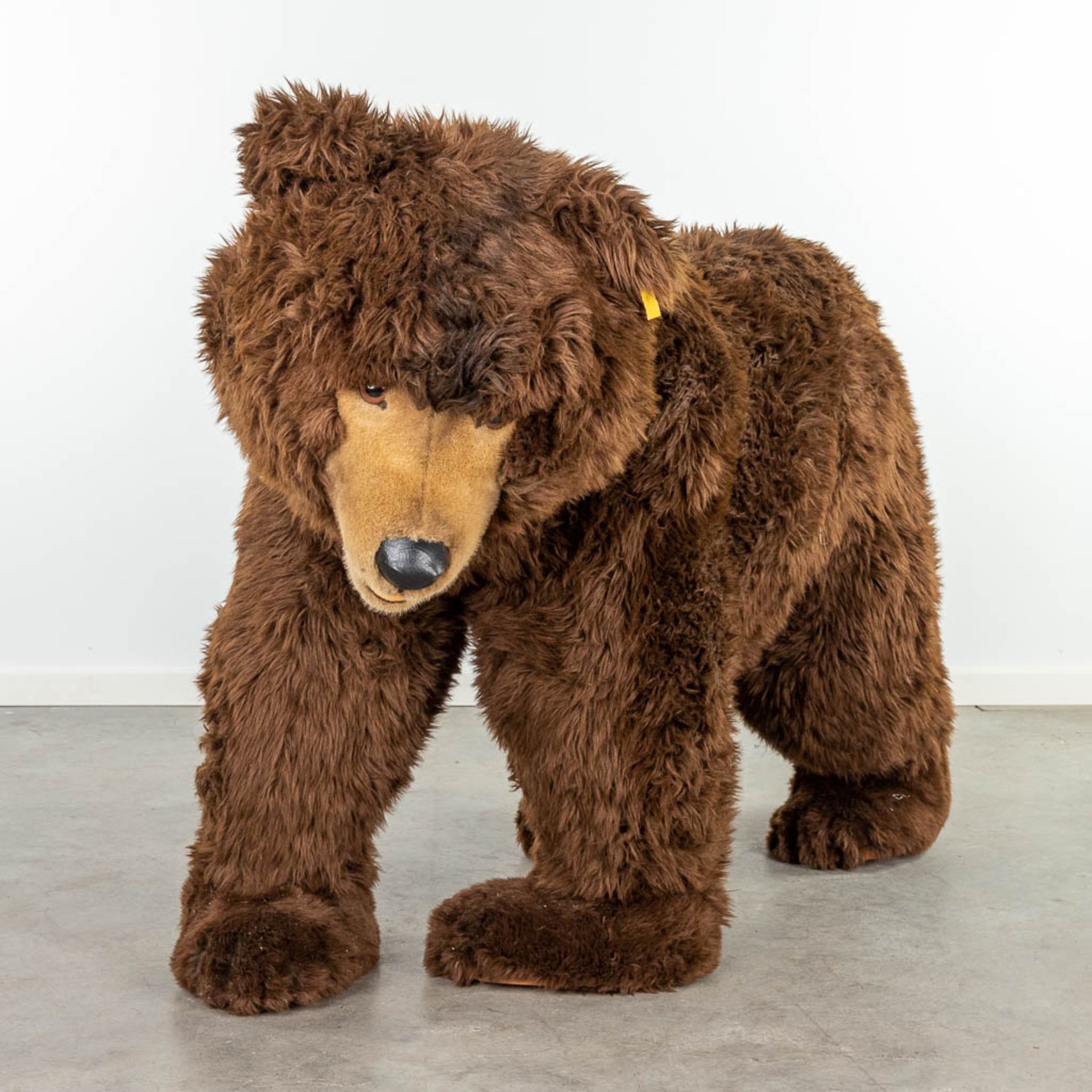 Steiff Studio Bear, EAN 500503, around 1987-1990 (160 x 95cm)