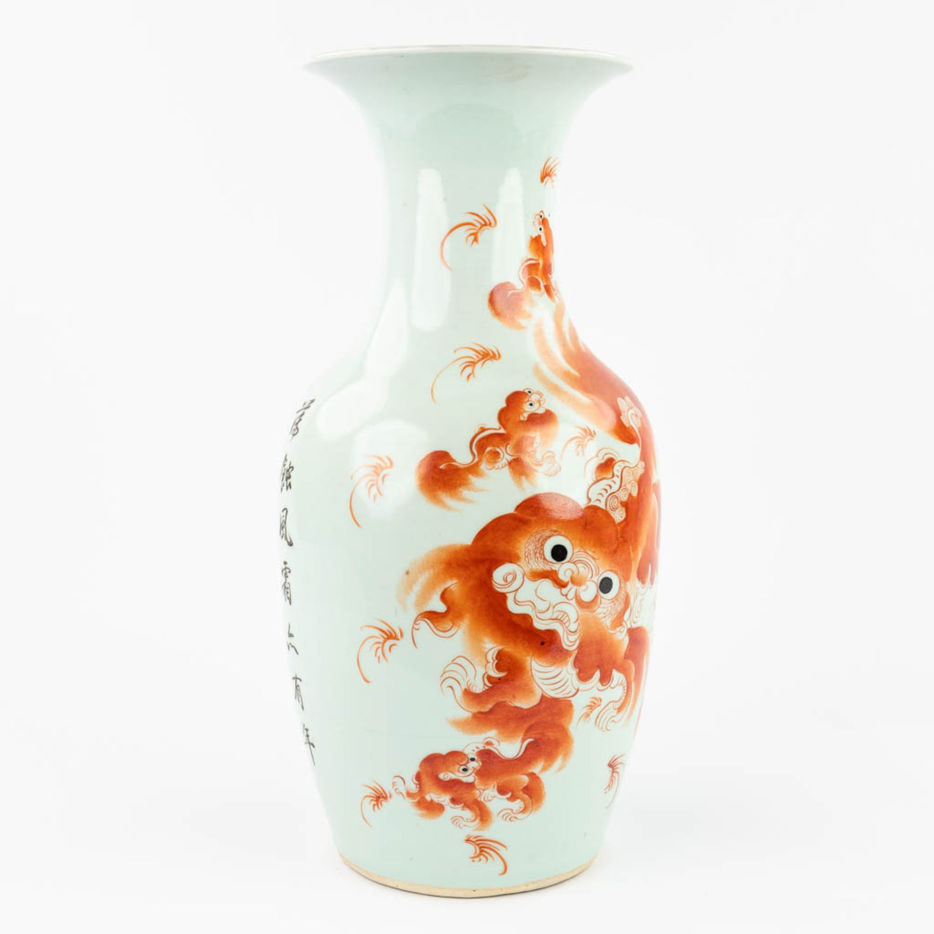 A Chinese vase made of porcelain and decorated with a red foo dog. (44,5 x 21 cm) - Image 6 of 16